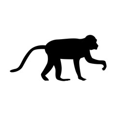 Monkey Silhouette 