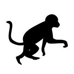 Monkey Silhouette 