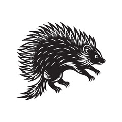 illustration of a hedgehog