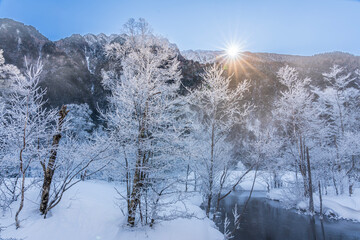 冬の上高地スノーハイク 田代池朝日にキラキラ輝く霧氷