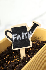 Mustard seeds in soil with handwritten word 