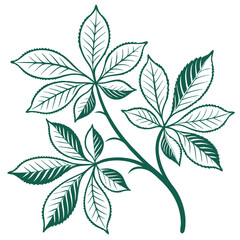 Leaf Pattern Graphics for Nature-Inspired Eco-Friendly and Artistic Design Themes