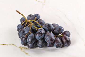 Blue juicy sweet ripe Grape bunch
