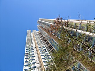 Fototapeta premium Low-angle view of two towering residential buildings against a clear blue sky in Tseung Kwan O, Hong Kong, China. A small tree is visible in the foreground.