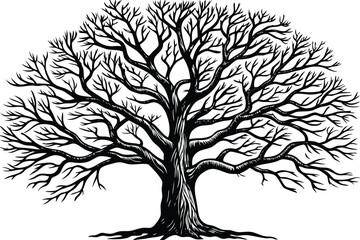 Obraz premium black silhouette tree isolated on white background 