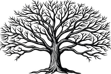 Obraz premium black silhouette tree isolated on white background 