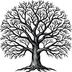 Obraz premium Tree silhouettes Vector illustration