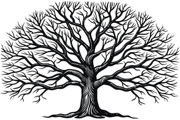 Obraz premium Tree silhouettes Vector illustration