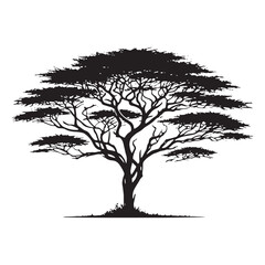 Acacia Tree silhouette perfect for modern and natural designs - acacia tree silhouette - acacia tree vector - acacia tree illustration - Acacia silhouette - Acacia vector
