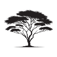 Obraz premium Acacia Tree silhouette with a beautiful natural structure - acacia tree silhouette - acacia tree vector - acacia tree illustration - Acacia silhouette - Acacia vector 