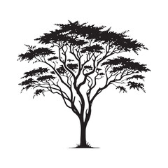 Beautiful Acacia Tree silhouette perfect for artistic designs - acacia tree silhouette - acacia tree vector - acacia tree illustration - Acacia silhouette - Acacia vector
