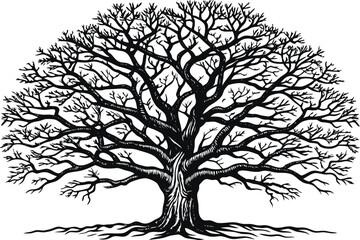 Obraz premium vector Tree silhouette isolated on white background