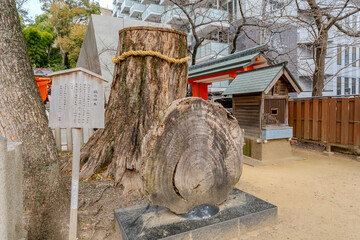 兵庫県　三宮　生田神社の風景