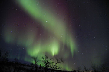 Aurora boreale vicino Alta, Norvegia. 27 gennaio 2025.