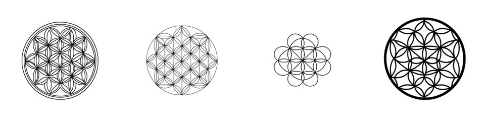 A modern illustration of a sacred geometry figure known as the Flower of Life