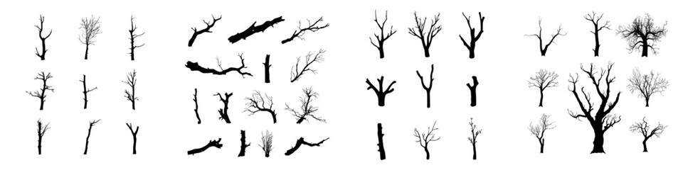 Realistic depiction of tree branch silhouettes (Modern illustration)