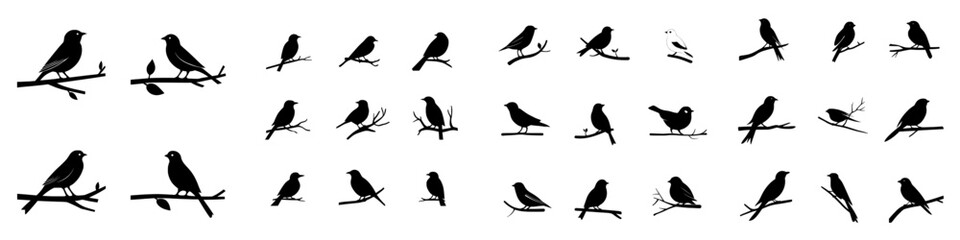 Obraz premium Birds outlined on branches. A bird perches on a leafy branch, forming an ornament with starlings, jays, sparrows, and titmice, communicating the forest idea in a modern illustration