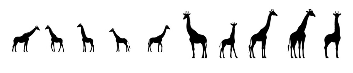 Naklejka premium Silhouettes of modern giraffes isolated against a white background