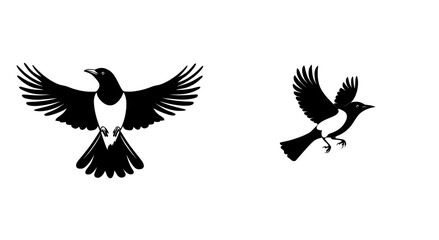 Obraz premium Magpie - A high-quality modern logo - Perfect modern illustration for T-shirt graphics