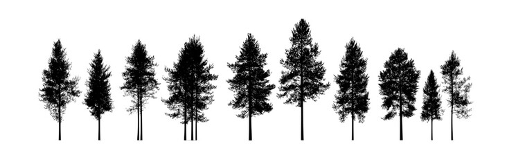 Pine tree modern illustration set. Black silhouette panorama landscape