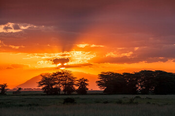 Beautiful sunset in african savannah
