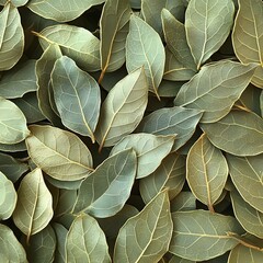 Dried Bay Leaves in Overlapping Patterns with Mediterranean Market Portrayal