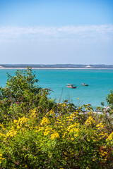 Scenic View of Ba&iacute;a Formosa Beach, Rio Grande do Norte, Brazil on January 14, 2025.