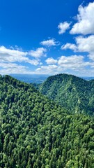 Vertical photo of mountain views on the trail from Mount Sokolica to Mount Trzy Korony in Pieniny National Park, Poland. Perfect for hiking, active lifestyle, travel, and nature exploration themes. © Krystsina_Semianiuk