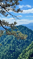 Vertical photo of mountain views on the trail from Mount Sokolica to Mount Trzy Korony in Pieniny National Park, Poland. Perfect for hiking, active lifestyle, travel, and nature exploration themes. © Krystsina_Semianiuk