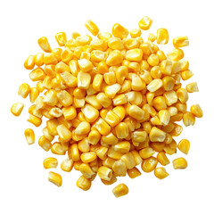 Harvesting fresh corn kernels in a vibrant field close-up photography natural setting