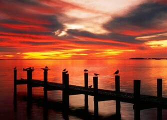 Obraz premium Red sunset on the lake with a wooden pier