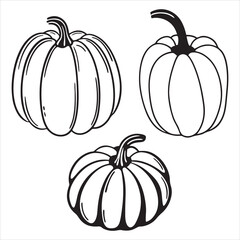 set of pumpkin illustration, outline, vector, silhouette, coloring page on white background for graphic 