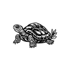 Fototapeta premium turtle on a white background