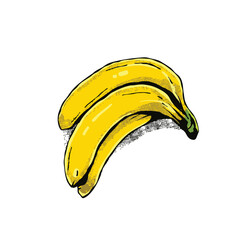 Tropical Banana Fruit Vector. Fresh Banana Flat Illustration. Modern Banana Pop Art Vector