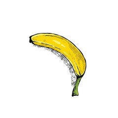 Stylized Banana Fruit Artwork. Juicy Banana Cartoon Style. Exotic Banana Bright Colors Vector
