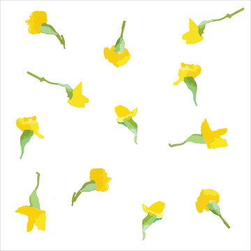 beautiful yellow flower vector of the padauk flower and Myanmar national flower.Vector illustration, flower pattern. For Myanmar water festival (Thingyan).