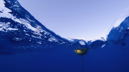 Yellow buoy floating over the sea © marta