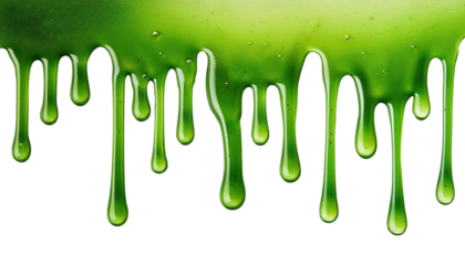 Dripping green slime, white isolated background.