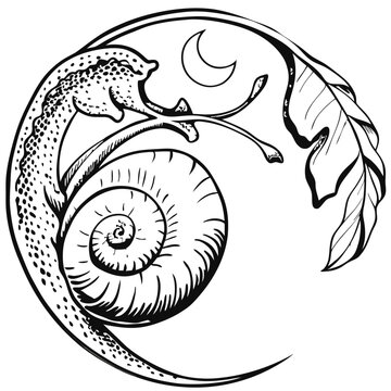 Snail with shell crawling in a stem with crescent moon vector illustration (3)