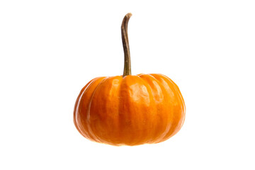 A vibrant orange pumpkin with a glossy surface and a long, curved stem isolated on a white background. Ideal for autumn, Halloween, and Thanksgiving themes