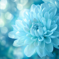 Obraz premium Delicate blue flower with soft petals captured in a serene, dreamy background