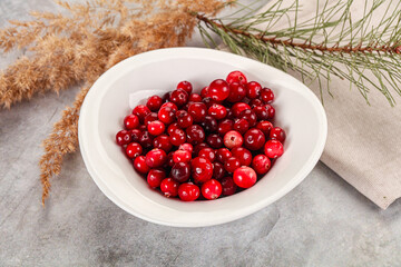 Ripe sweet sour cranberry heap