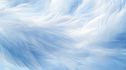 Fototapeta premium Soft Blue Feathers, Close Up Texture, Calming Color Palette, Delicate Background, High Resolution