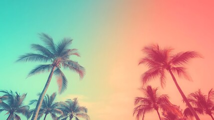 Palm Trees Silhouette Against A Vibrant Sunset Sky