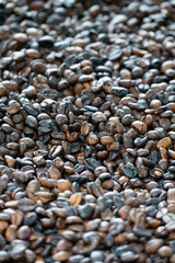 close up of coffee beans