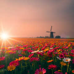windmill at sunset