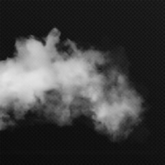 Vector realistic cloud, smoke or fog on isolated transparent background. Cloud png. Smoke png