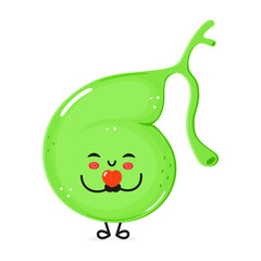 Gallbladder holding a heart in hands character. Vector hand drawn cartoon kawaii character illustration icon. Isolated on white background Gallbladder in love character concept