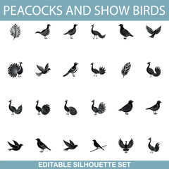 Peacock, Showbird, Bird, Silhouette, Icon, Set, Editable, Vector, Graphic, Design