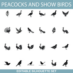 Peacocks, Show Birds, Silhouettes, Avian, Editable, Set, Illustrations, Feathers, Wildlife, Graphics